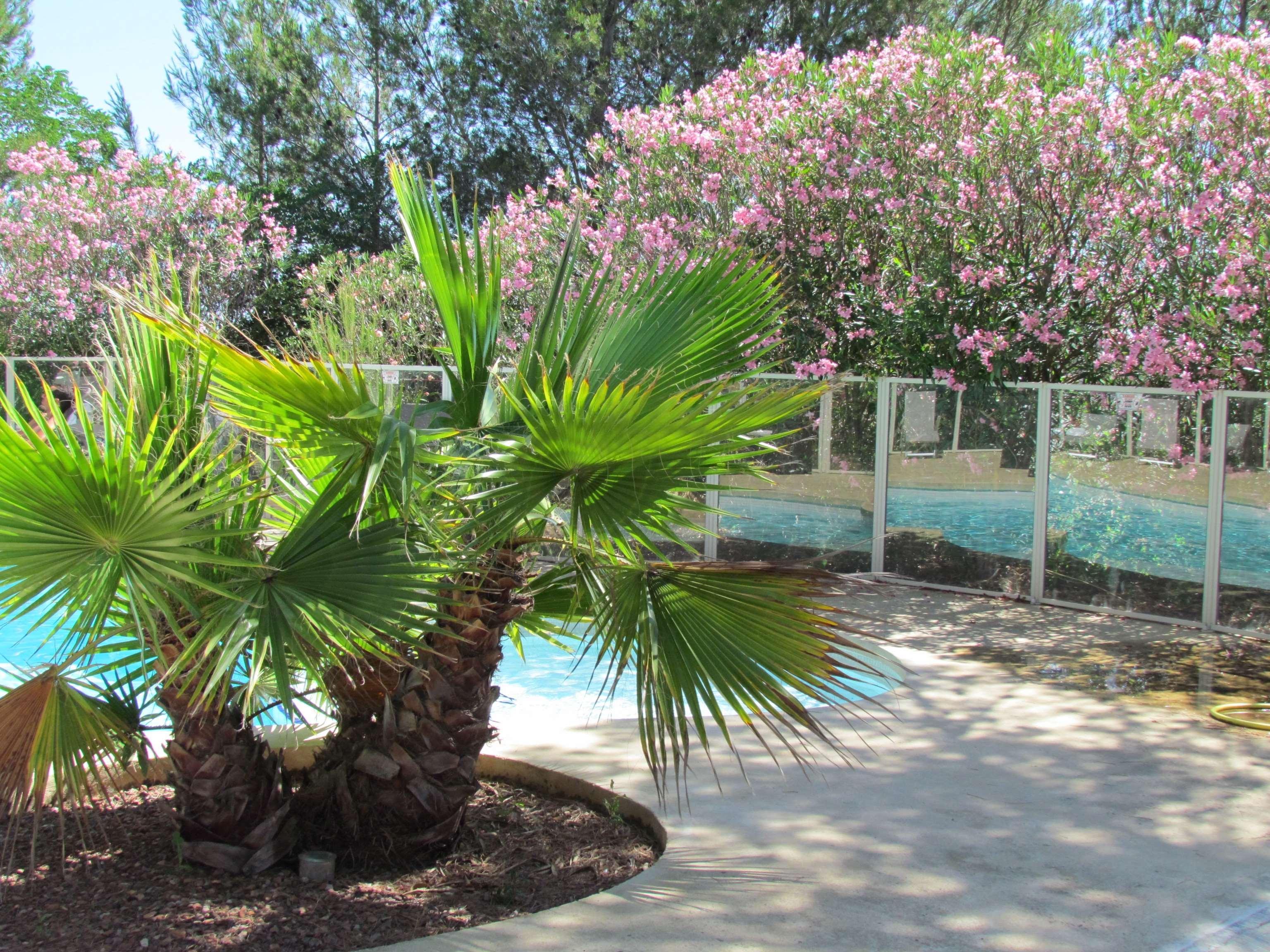 Kyriad Montpellier Nord Parc Euromedecine Saint-Clément Dış mekan fotoğraf